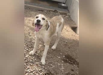 Buffy: ich habe es mir nicht ausgesucht