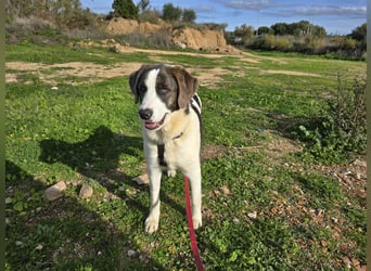 Carlo: was will man mehr?