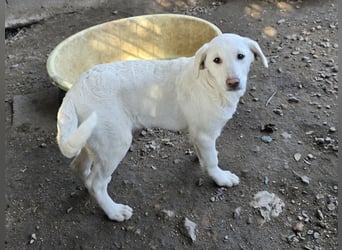 Clarissa: sehnt sich nach 1000 Streichelhänden
