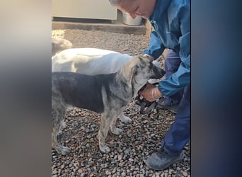 Cheyenne: Wärme und Geborgenheit gesucht