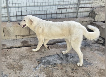 Teo: unkompliziert, freundlich, sozial