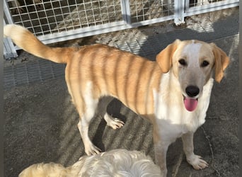 Trilly: ein Schatz für die ganze Familie