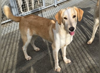 Trilly: ein Schatz für die ganze Familie