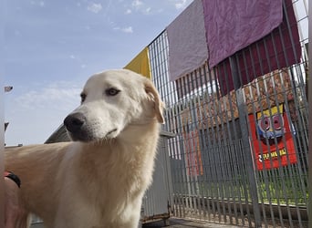 Nala: ein richtiger Hingucker