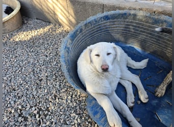 Clarissa: sehnt sich nach 1000 Streichelhänden