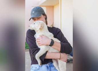 Lillith sucht ein Zuhause