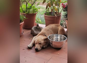 Der kleine Kalle kann in der Südpfalz besucht werden