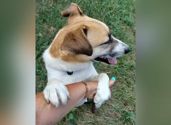 Bam VA, von der Kette ins Glück?