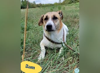 Bam VA, von der Kette ins Glück?