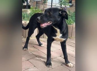 Hübsche Lyra sucht ihr Glück