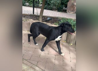 Hübsche Lyra sucht ihr Glück