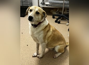 Notfall Oma Tilda wünscht sich ein Zuhause