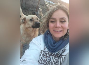 LYSETT ♥ - Gerettet aus Horror Tötung Slatina, Ostern'22