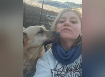 LYSETT ♥ - Gerettet aus Horror Tötung Slatina, Ostern'22