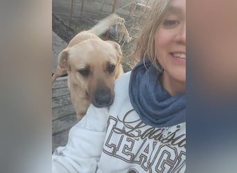 LYSETT ♥ - Gerettet aus Horror Tötung Slatina, Ostern'22