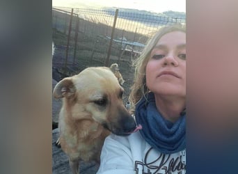 LYSETT ♥ - Gerettet aus Horror Tötung Slatina, Ostern'22