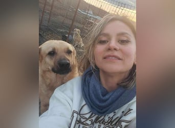 LYSETT ♥ - Gerettet aus Horror Tötung Slatina, Ostern'22