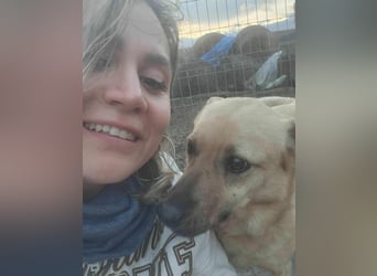 LYSETT ♥ - Gerettet aus Horror Tötung Slatina, Ostern'22