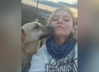 LYSETT ♥ - Gerettet aus Horror Tötung Slatina, Ostern'22