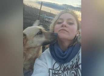 LYSETT ♥ - Gerettet aus Horror Tötung Slatina, Ostern'22