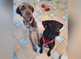 Jack – Rohdiamant sucht Feinschliff