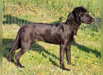 Diego - jung und verspielt