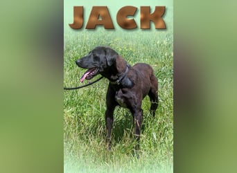 Jack - ein aktiver Junge