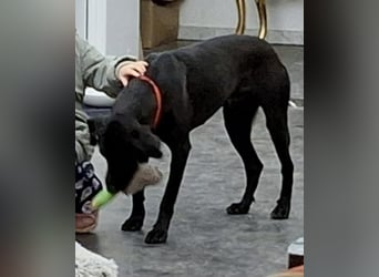 Jack – Rohdiamant sucht Feinschliff