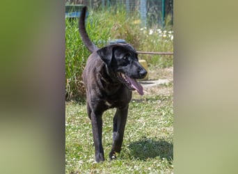 Diego - jung und verspielt