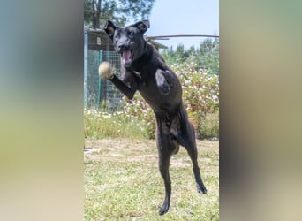 Diego - jung und verspielt Diego - jung und verspielt