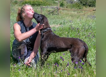 Jack – Rohdiamant sucht Feinschliff