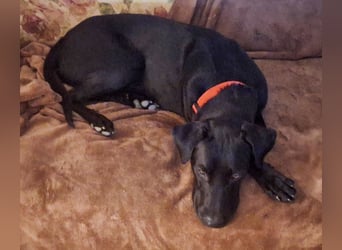 Jack – Rohdiamant sucht Feinschliff