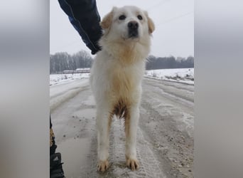 Fiona eine Schneekönigin