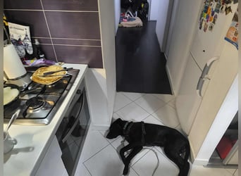 Kan braucht liebevolle Familie