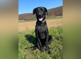 Kan braucht liebevolle Familie