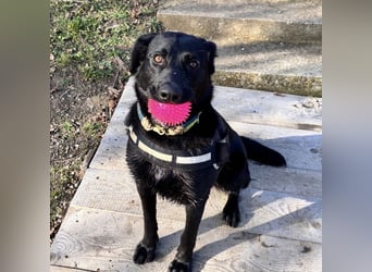 Mio ein treuer wundervoller Freund fürs Leben