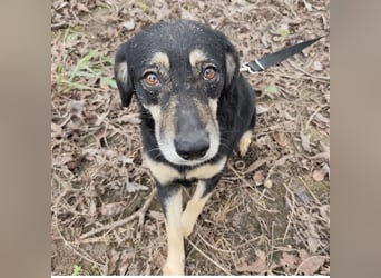 Debby eine gebrochene Seele