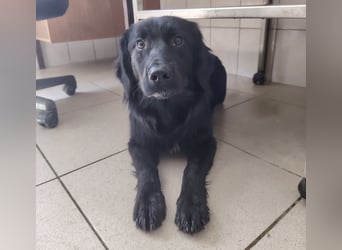 Jonte pure Lebensfreude