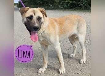 Lina die freundliche