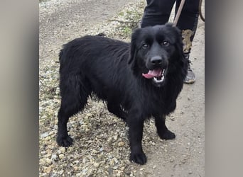 Jonte pure Lebensfreude