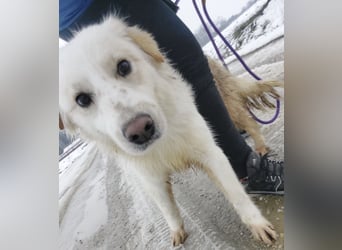 Fiona eine Schneekönigin