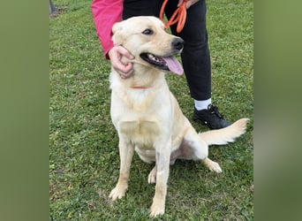 Odin ein richtiger Teeneger