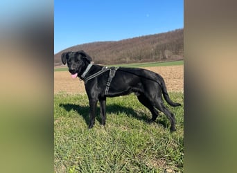 Kan braucht liebevolle Familie