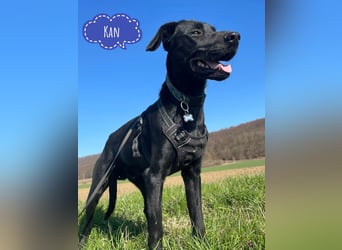 Kan braucht liebevolle Familie