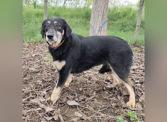 Debby eine gebrochene Seele