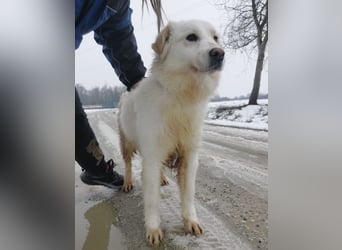 Fiona eine Schneekönigin