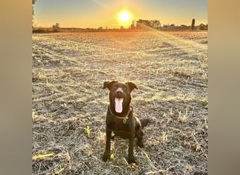 Mio ein treuer wundervoller Freund fürs Leben