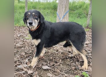 Debby eine gebrochene Seele