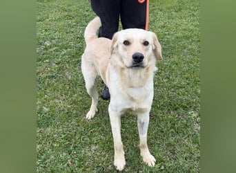 Odin ein richtiger Teeneger