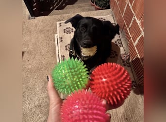 Mio ein treuer wundervoller Freund fürs Leben